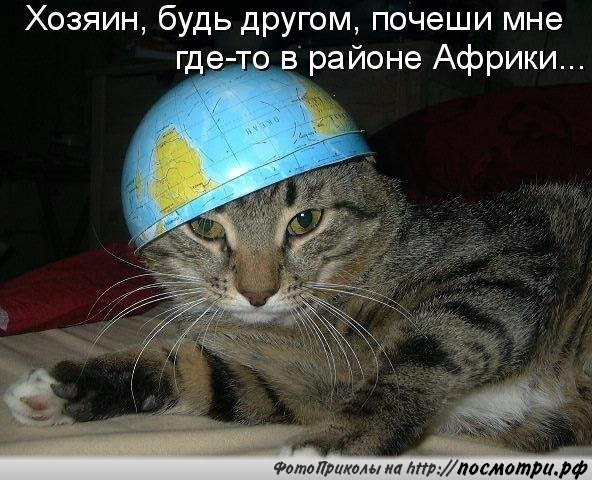 Приколы географии в картинках