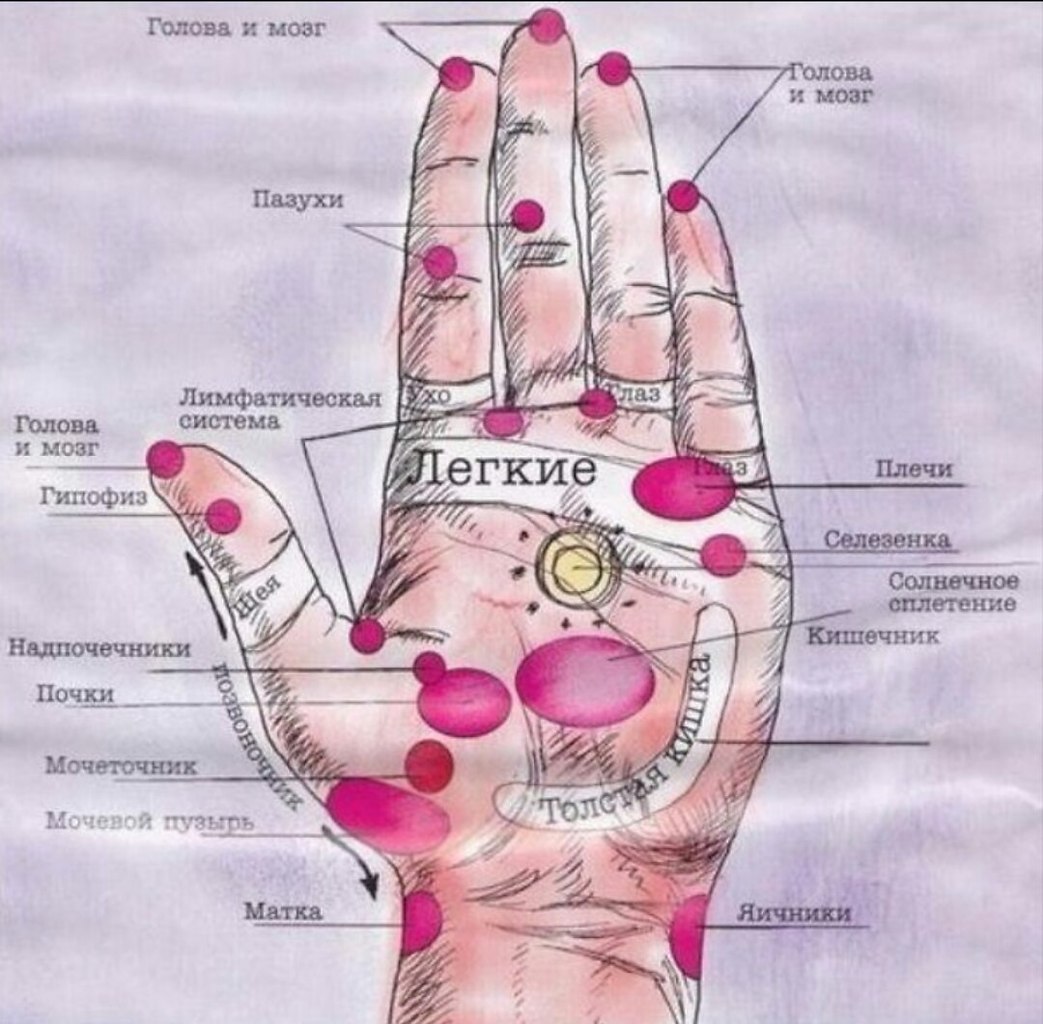 Акупунктура ладони схема