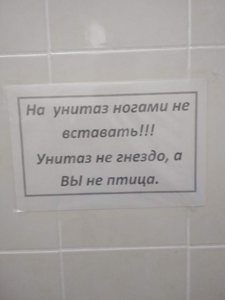 На унитаз не вставать картинки