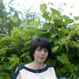 , 51 , 