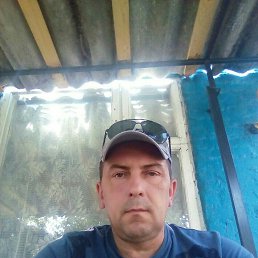 , 50 , 