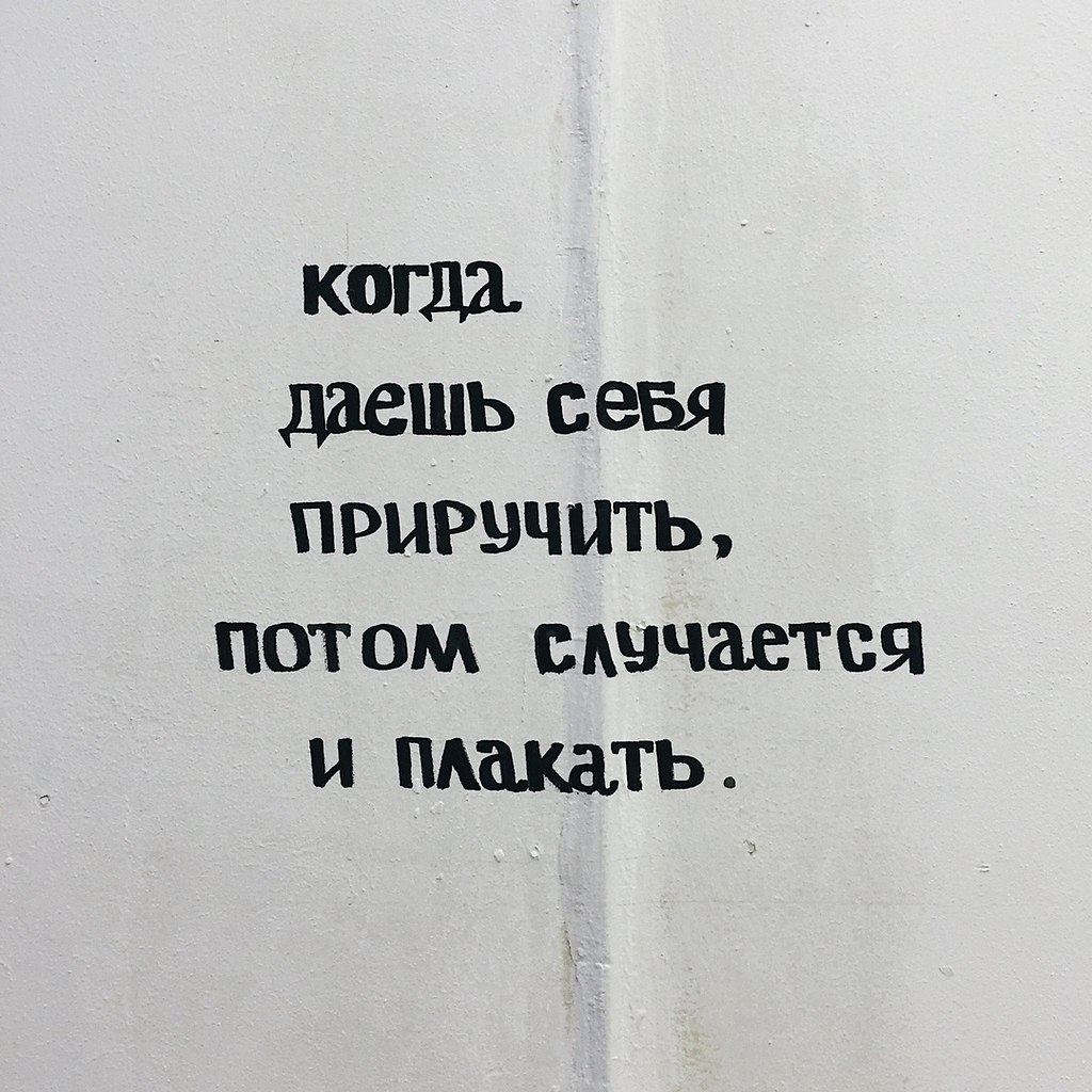 Когда даешь себя приручить потом случается и плакать картинки