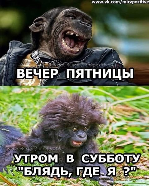 Картинки на вечер пятницы