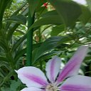 ���� �����, �������� - ��������� 24 ���� 2018