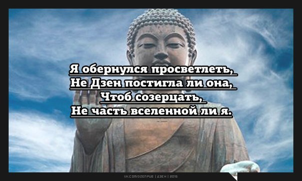 Положим дзен. Постигая дзен. Статусы дзен. Я постиг дзен. Дзен юмор.