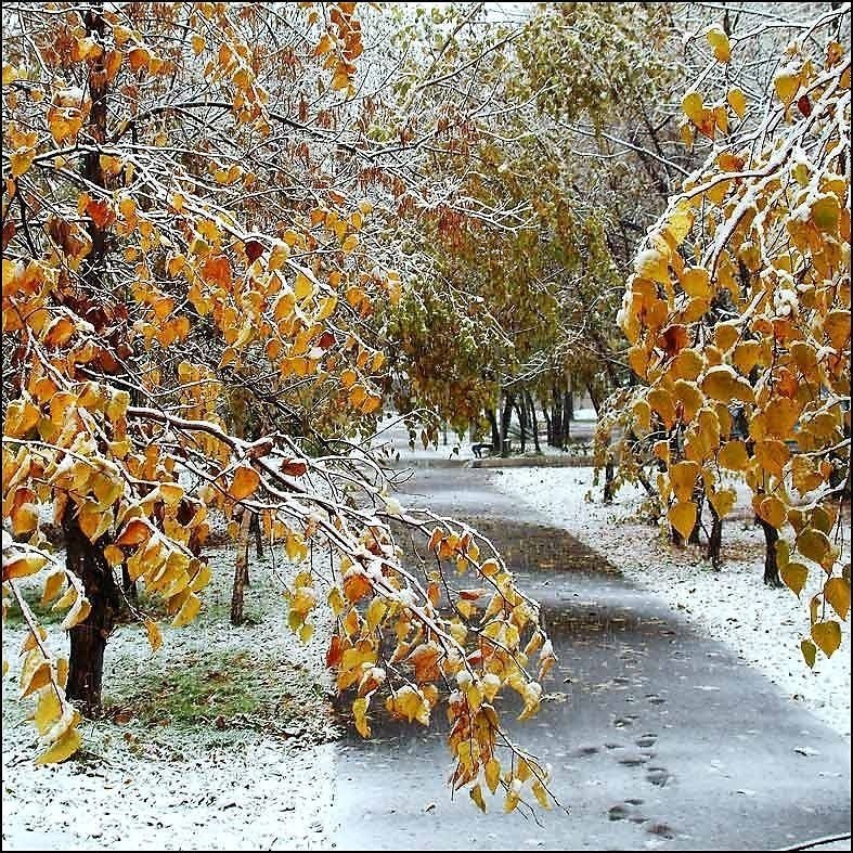 С первым ноября картинки красивые