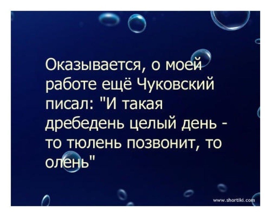 И такая дребедень целый день то тюлень позвонит то олень картинка