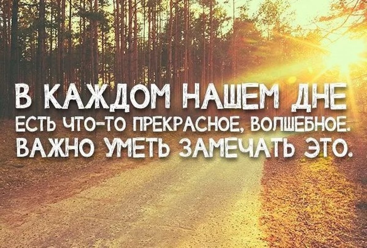 Картинка доброе утро понедельник мотивация, нигерами