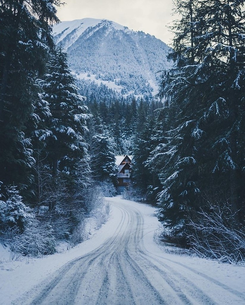 Фото аляска зимой