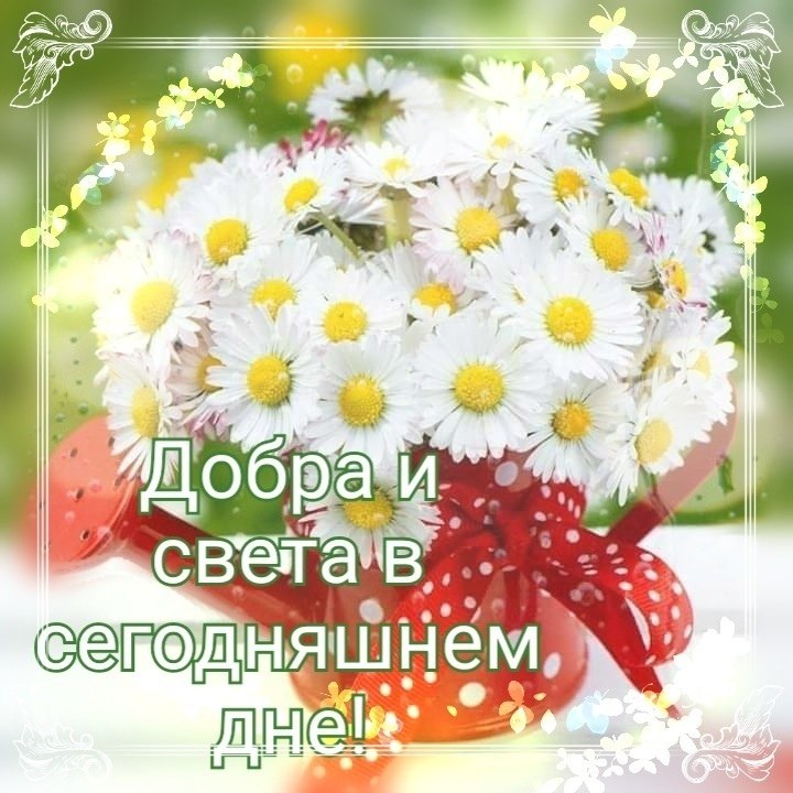 Радуйтесь каждому дню картинки с пожеланиями