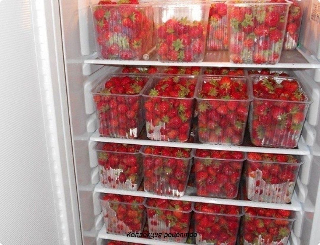 Клубника в шоколаде хранить в холодильнике. Клубника в холодильнике. Хранение клубники в холодильнике. Холодильник для ягод. Холодильник для заморозки ягод.