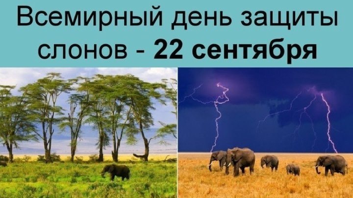 2828452650.jpg