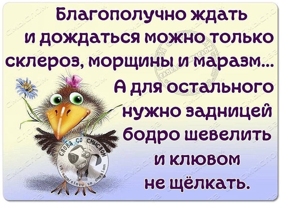 Сказать подождать. Ждите и дождетесь. Ждать и догонять афоризмы. Ждать и дождаться можно только. Благополучно ждать и дождаться можно только склероз.