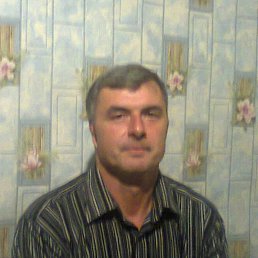 , 51 , 