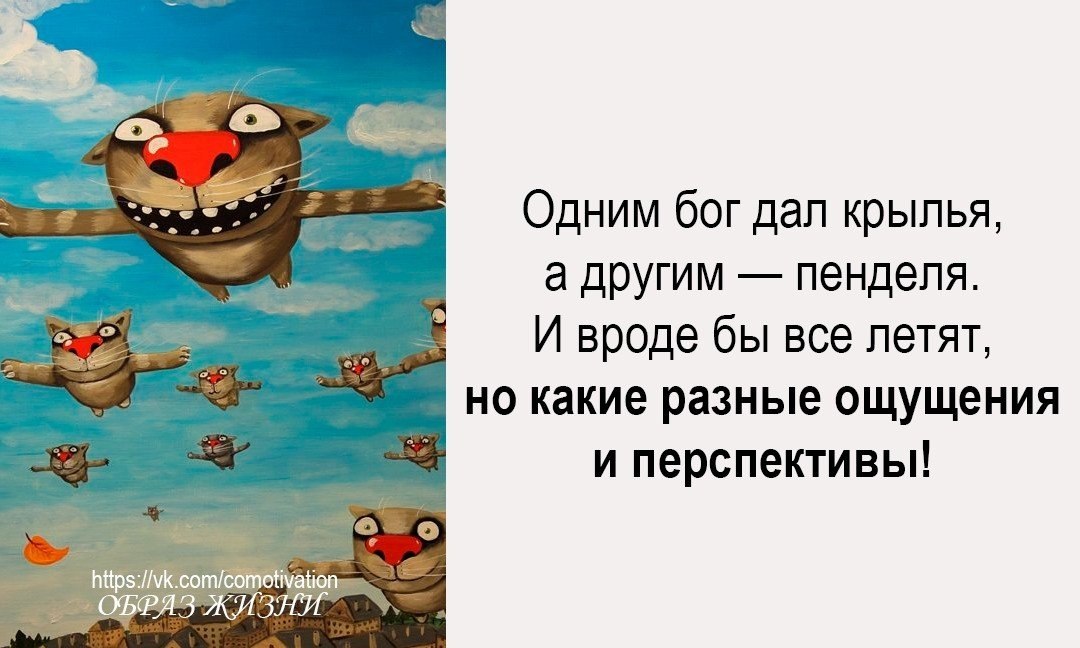 Дали крылья. Жизнь дает то Крылья то пенделя. Одним Бог дал Крылья. Одним Бог дал Крылья а другим пенделя. Одним жизнь дает Крылья а другим пендаля.