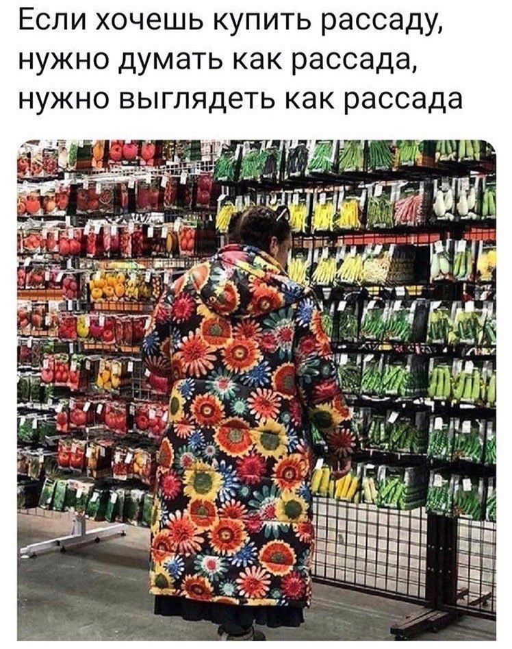 Рассада прикольные картинки