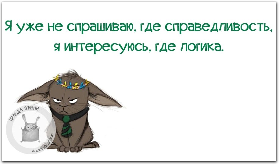 Спрашиваю где. Где справедливость картинки. Открытки про справедливость. Статусы про справедливость на работе. Открытка о несправедливости.