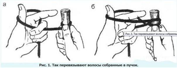 Откуда у колонка берут волосы для изготовления кистей