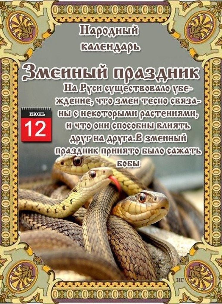 Змеи приметы. Змеиный праздник 12 июня.