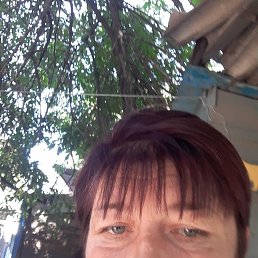 , 43 , 