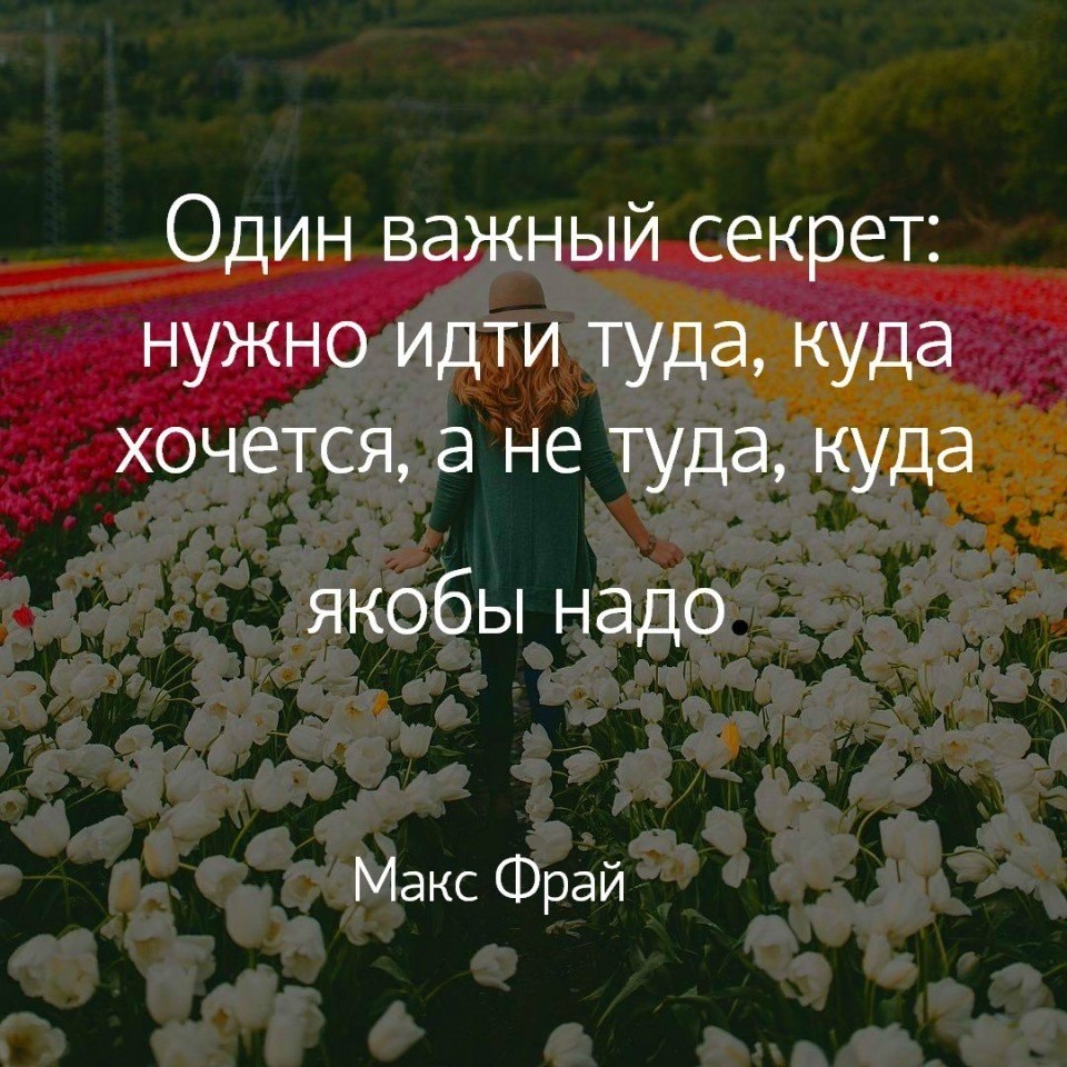 Куда хочу туда торчу