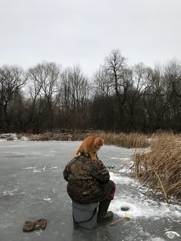 Ловим вместе
