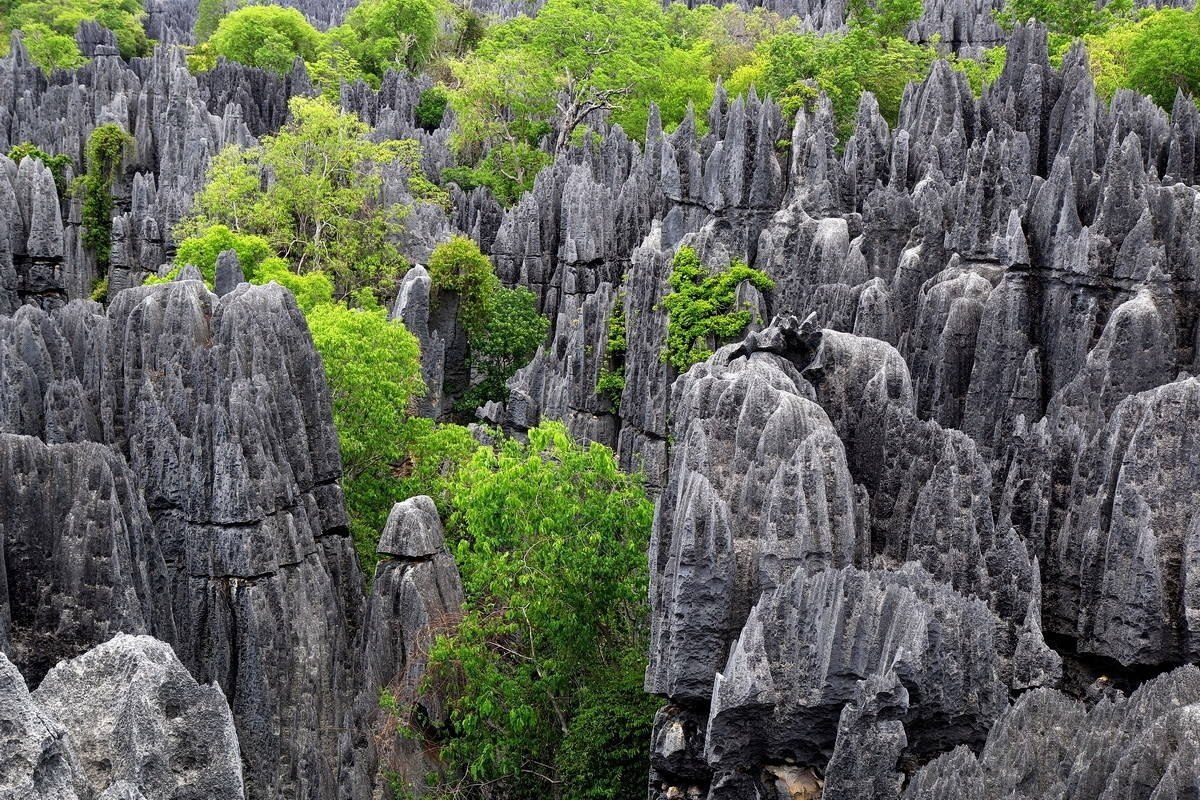 Цинжи-дю-Бемараха, Мадагаскар - Добро пожаловать на Землю!, №2219943617 ...