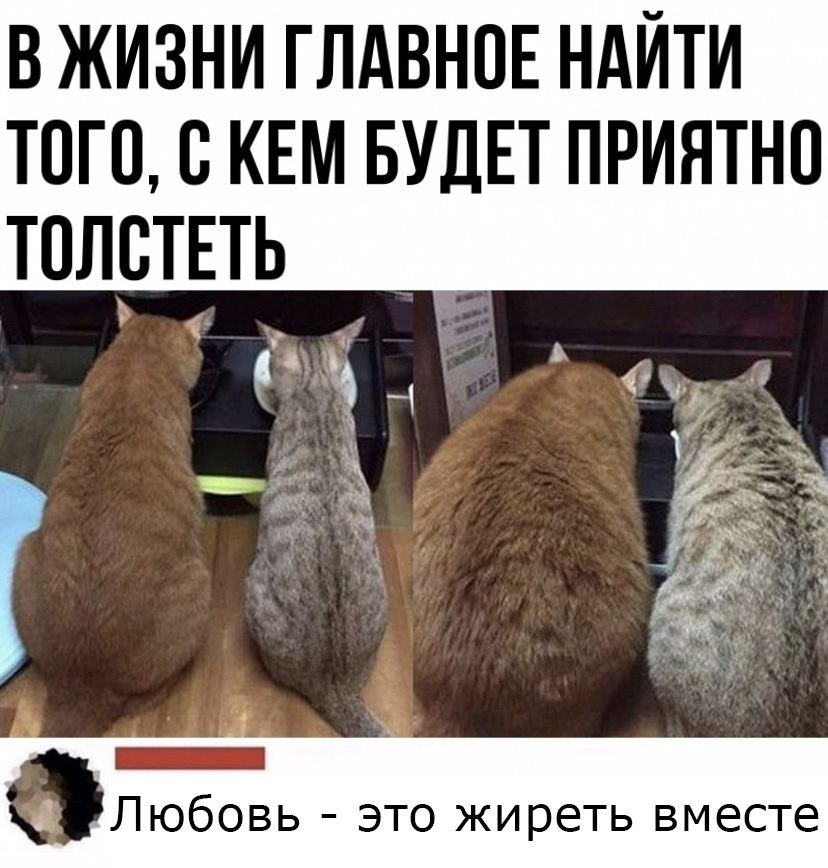 Как это должно быть приятно. Как это должно быть приятно