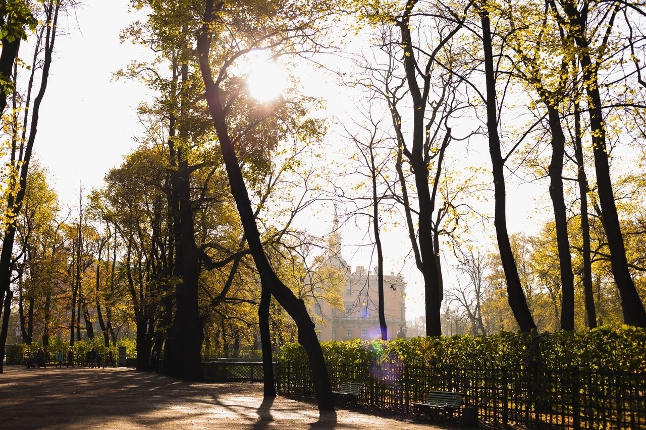 Летний сад осенью в санкт петербурге