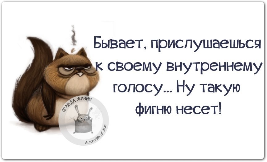 Бывать отозваться. Правда жизни юмор. Правда жизни цитаты. О жизни с юмором. Правда жизни картинки прикольные.