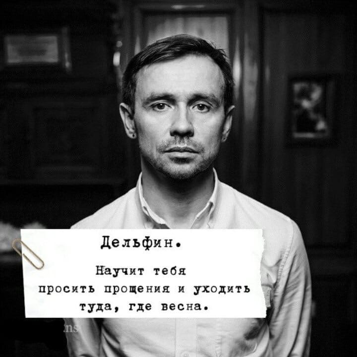 Песня дельфин мы обязательно встретимся. Песня дельфин мы обязательно встретимся