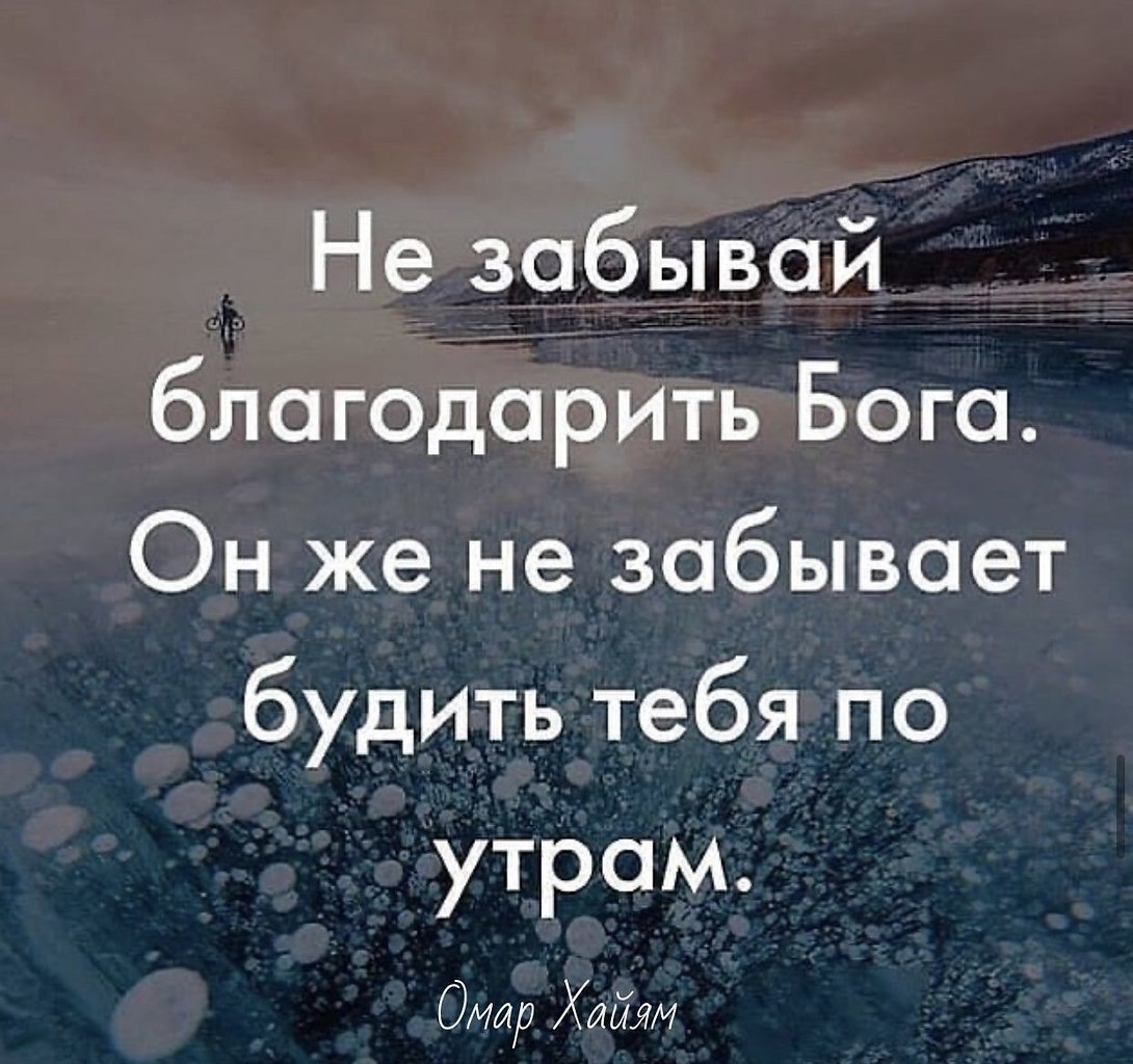 Нельзя возвращаться к предателям нельзя локти кусайте землю жуйте картинка