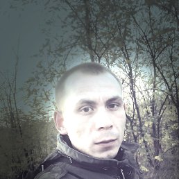 , 29, 