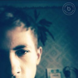 , 29, 