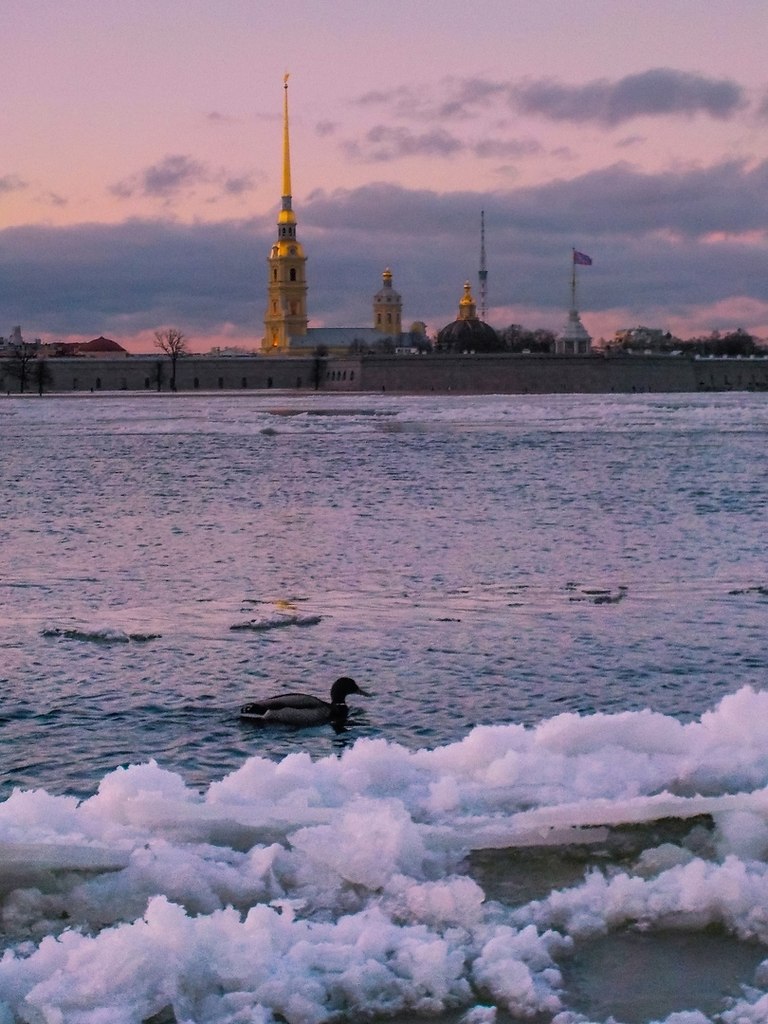 Весенний санкт петербург картинки