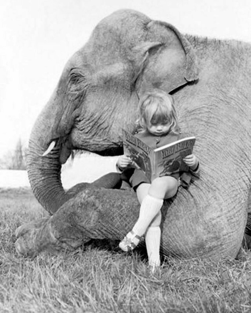 Девочка И Слон