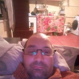 , 43 , 