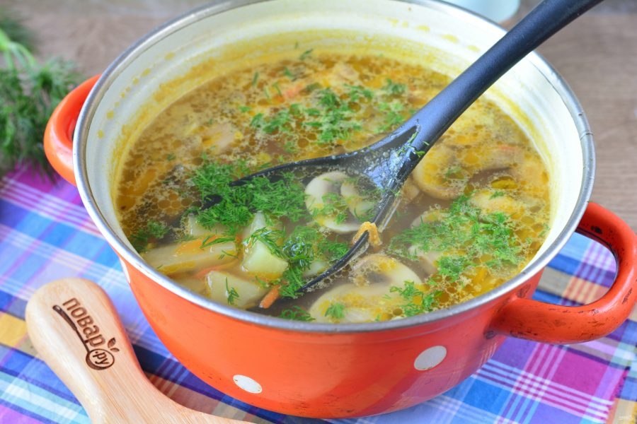 Для супа. Можно ли зеленый лук добавлять в суп. Зелёный лук на зиму заморозка. Суп из сельдерея. Можно ли зеленый лук добавлять в суп.