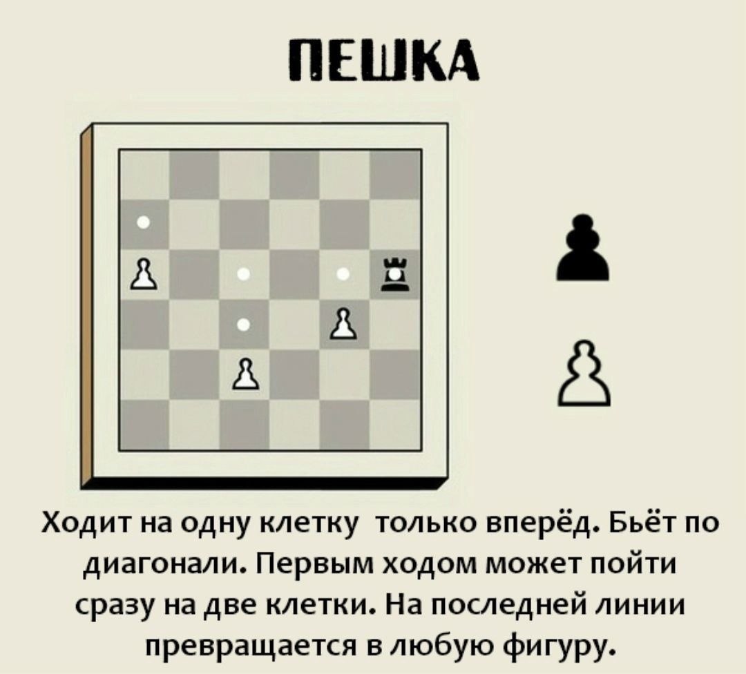 По словам андрея это простая программа для игры в шахматы с компьютером схема предложения