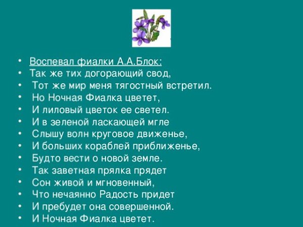 Потрогала и все фиалка расцвела. Стих про фиалку. Ночная фиалка блок. Цитаты про фиалки. Ночная фиалка стихотворение.