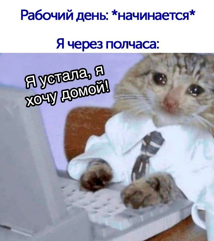 Сделали быстро мне и моей