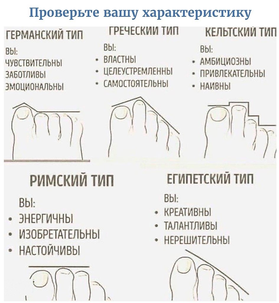 Какие бывают пальцы ног. Форма пальцев на ногах. Типы форм пальцев на ногах. Типы пальцев на ногах и характер. Пальцы на ногах форма.