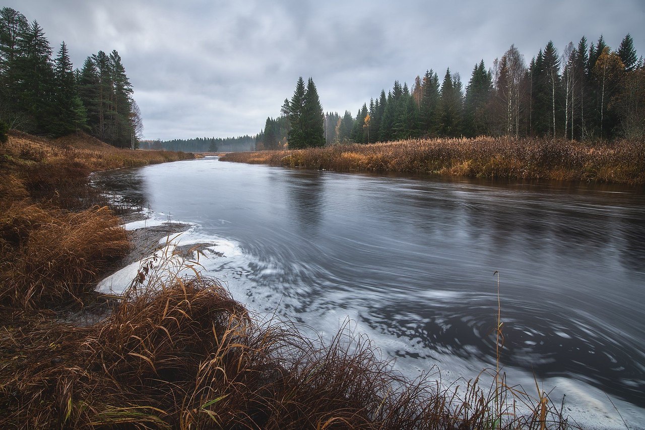 Фото из белого кроссовера на речку осенью