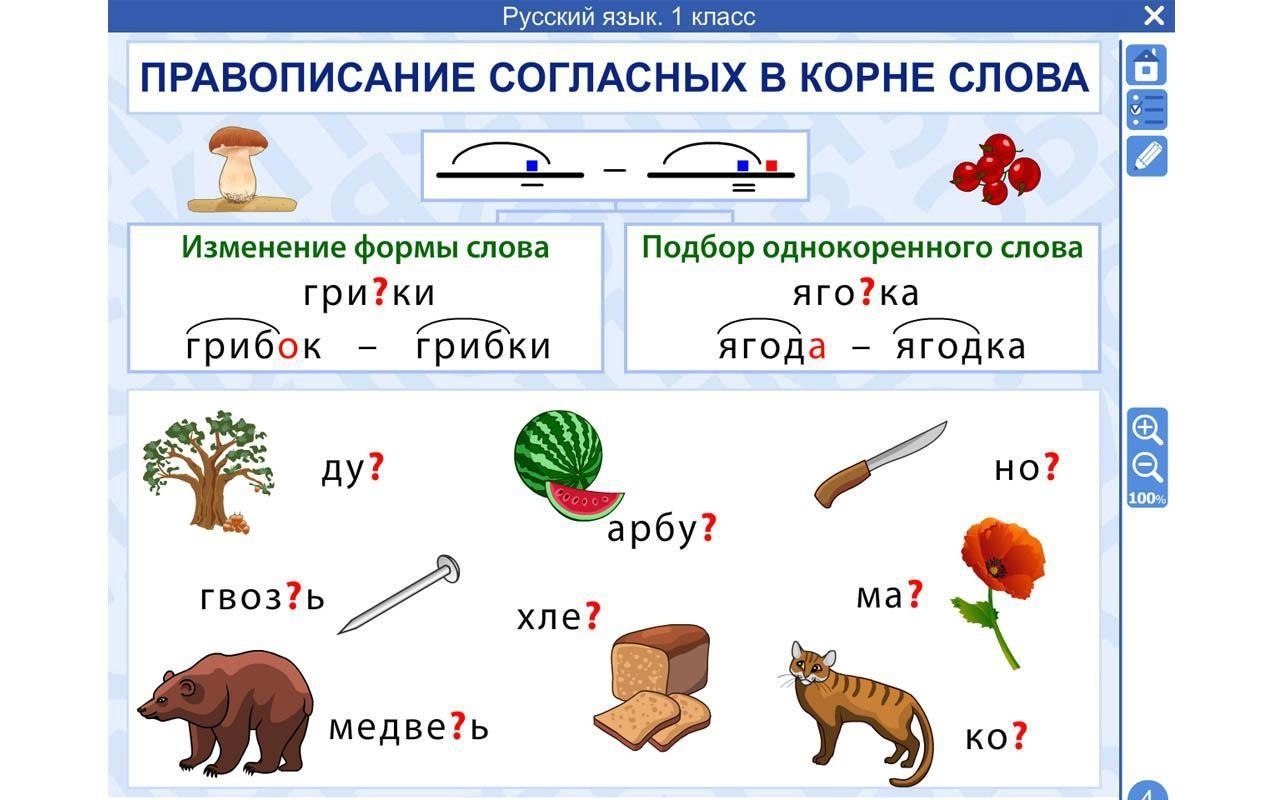 Картинки по русскому языку 1 класс