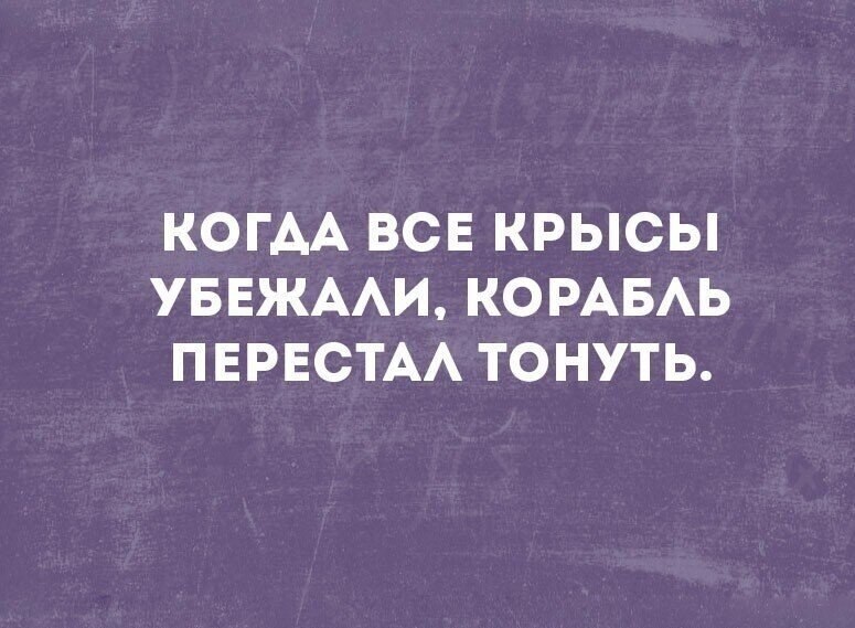 Когда все крысы убежали корабль перестал тонуть картинки