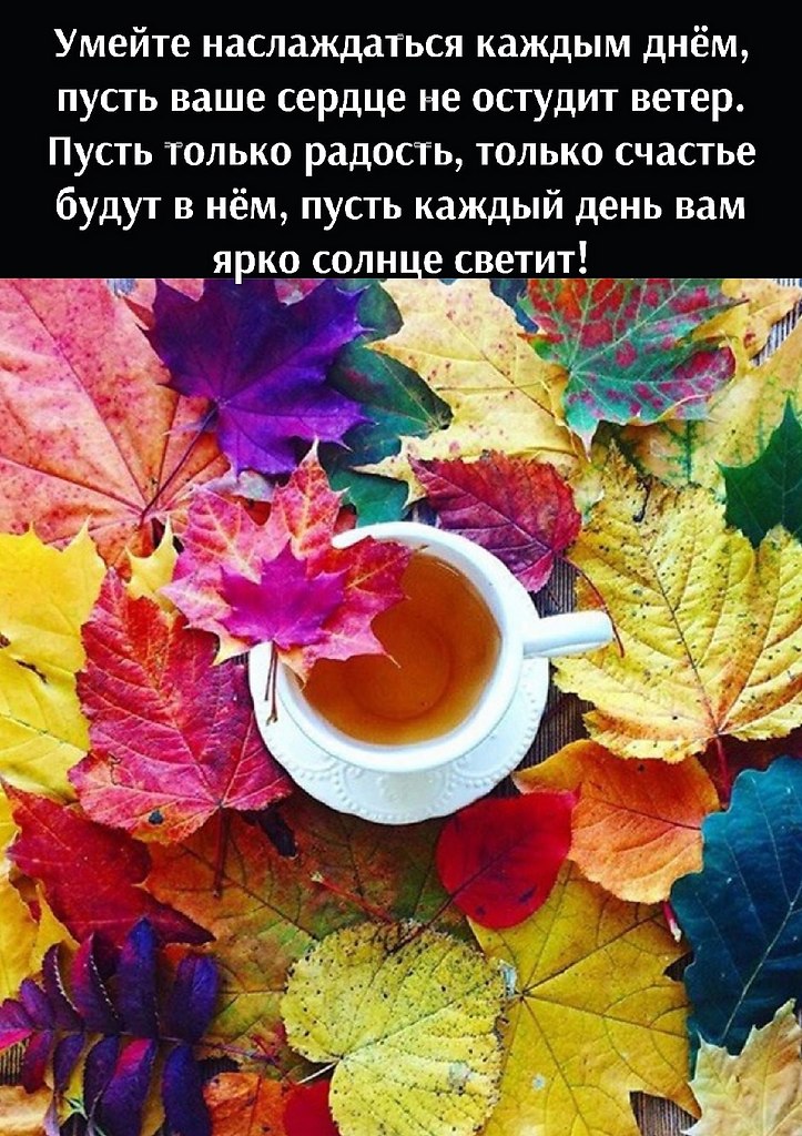 Доброе осеннее утро понедельника. Доброе утро листочек. Композиция из листьев. Доброе утро листочек. Чашка кофе осень.