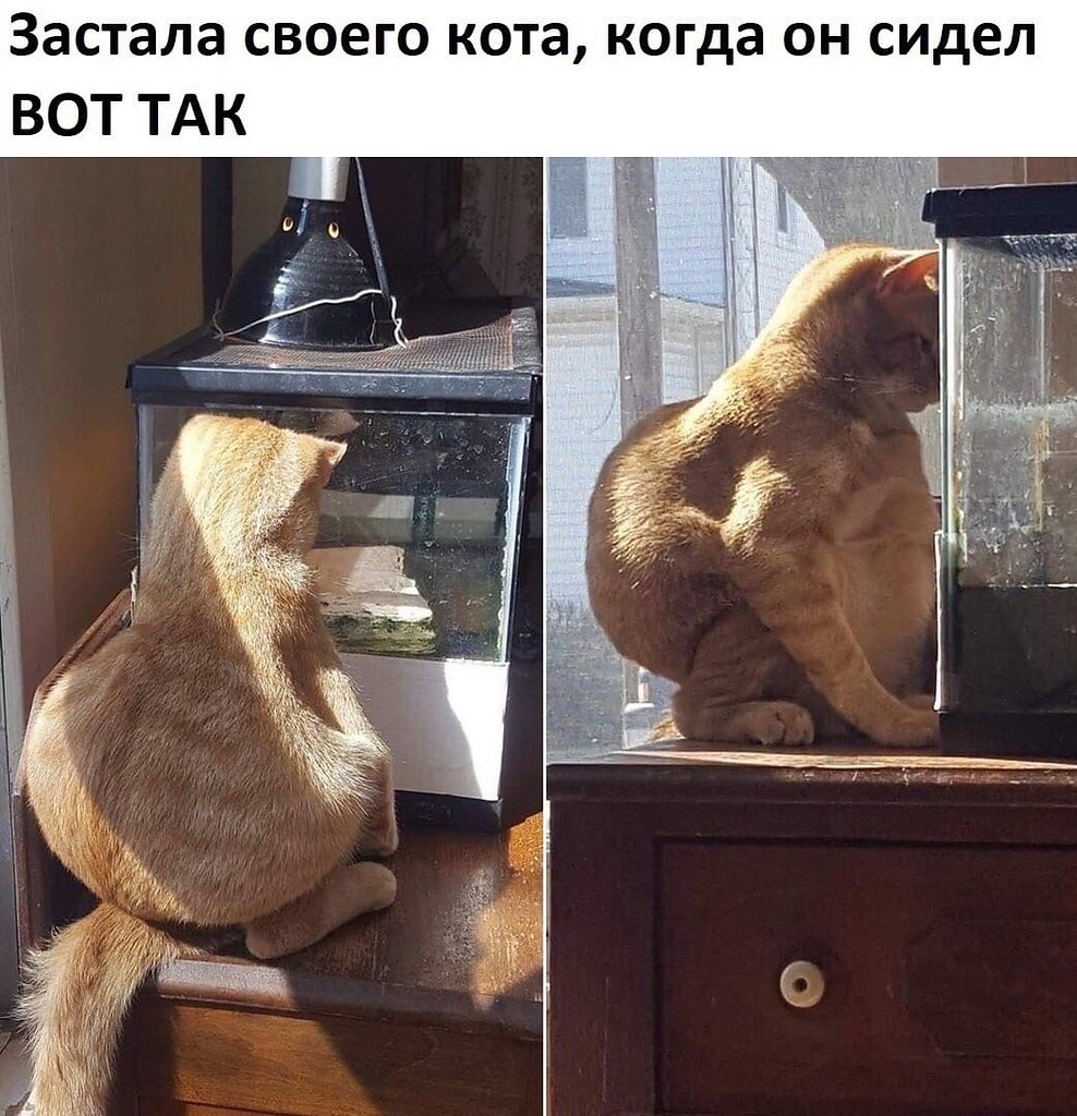 Не так сижу не так гляжу