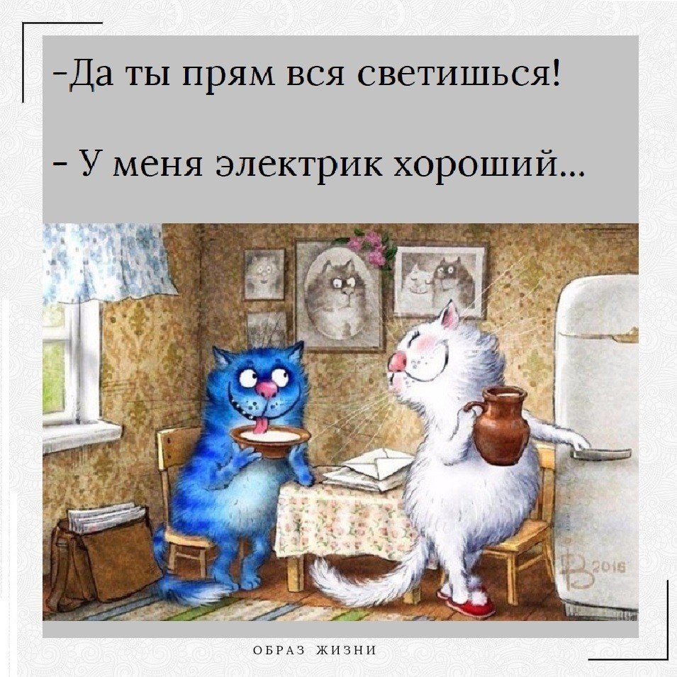 Синие коты с добрым утром