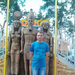 , 51, 