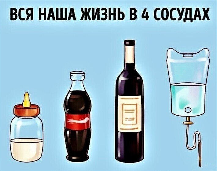 В четыре сосуда. Наклейки сосуд жизни. 4 Сосуда жизни. Жизнь длиною в четыре сосуда.